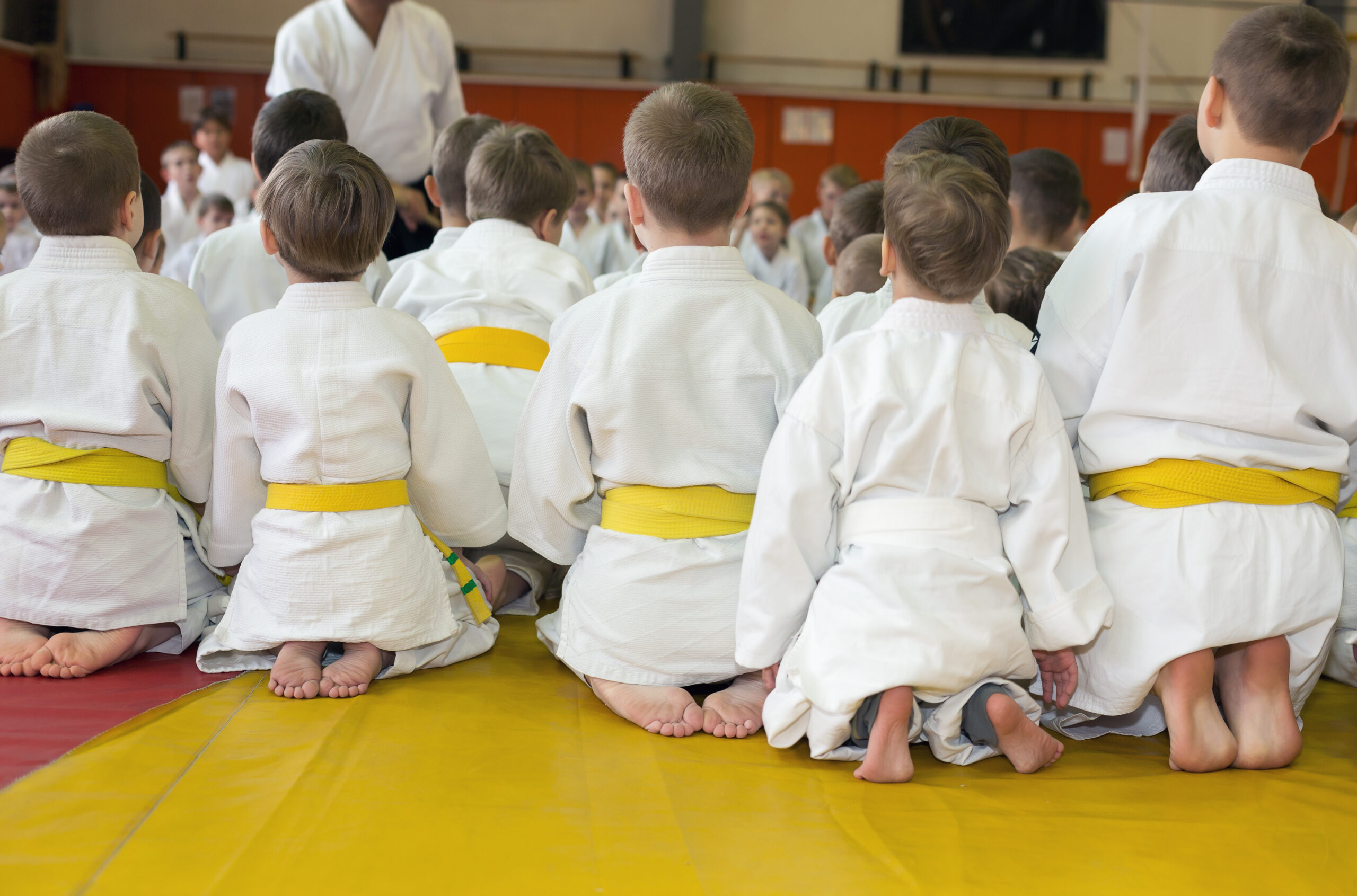 enfants cours judo seyssins
